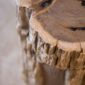 petrified wood stool