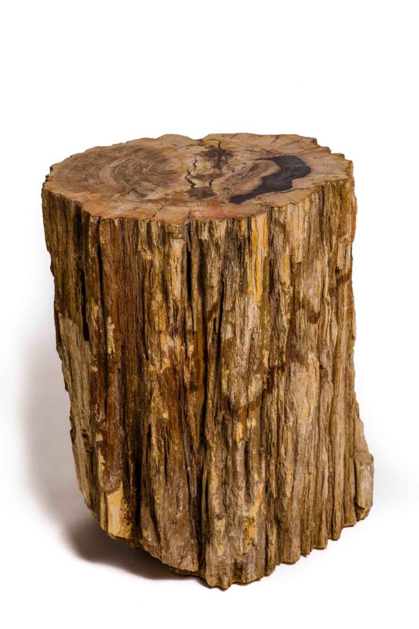 petrified wood stool petrified wood stool