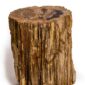 petrified wood stool