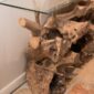 teak root sideboard