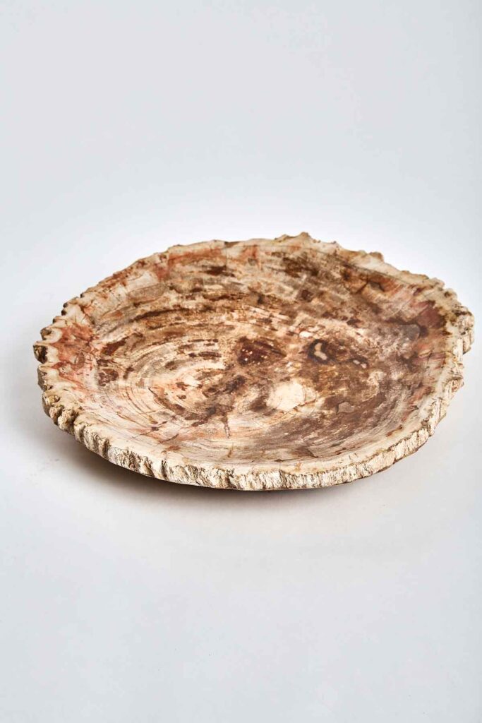 petrified wood plate